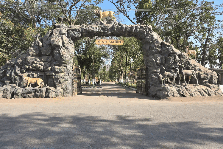 Gir National Park